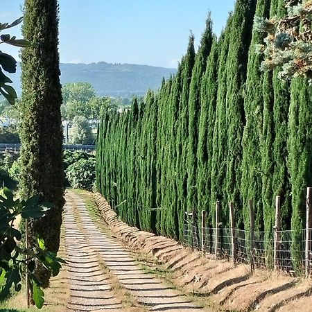 Camugnano Farm Villa Rapolano Terme Luaran gambar