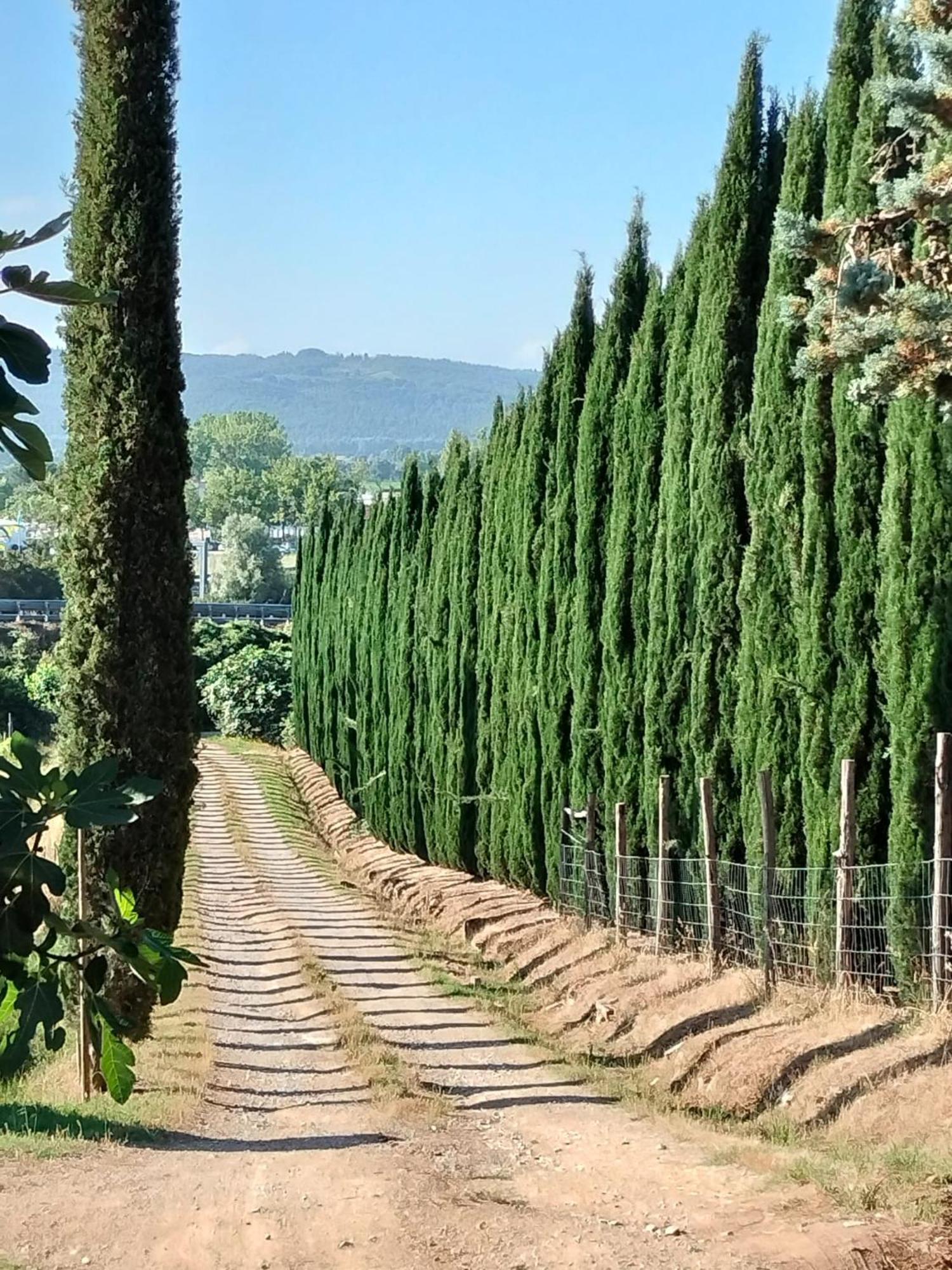 Camugnano Farm Villa Rapolano Terme Luaran gambar