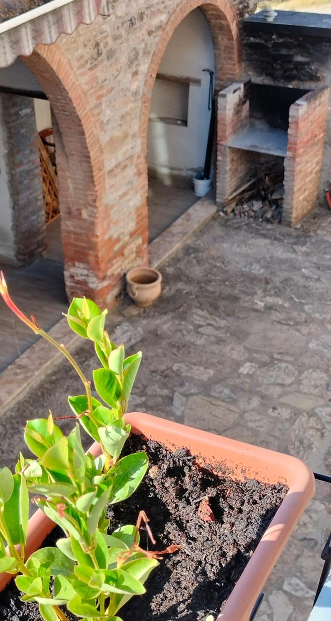 Camugnano Farm Villa Rapolano Terme Luaran gambar